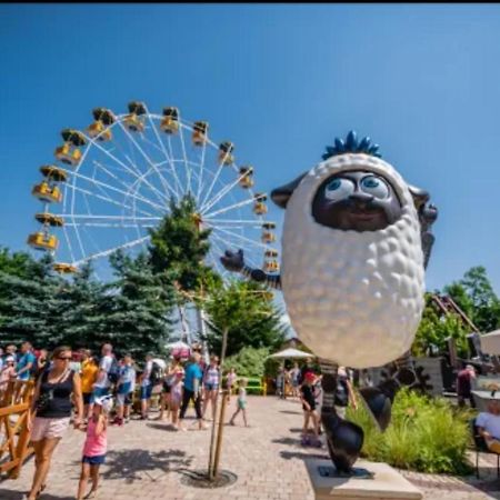 Domek Pocieszna Podkowa Rabka-Zdrój Exterior foto