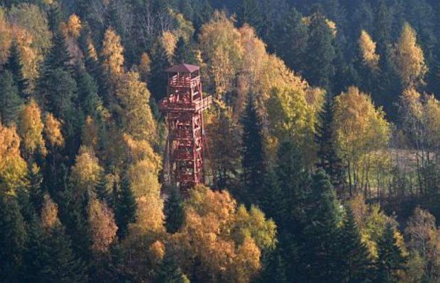 Domek Pocieszna Podkowa Rabka-Zdrój Exterior foto