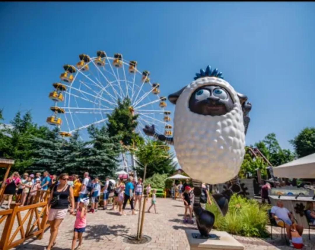 Domek Pocieszna Podkowa Rabka-Zdrój Exterior foto
